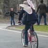 Study: Cyclists Ignore Traffic Laws, Surprising No One (Again)